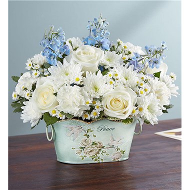 Peace And Healing&trade; Blue & White